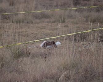 Feminicidio en Xonacatepec: encuentran en un baldío el cuerpo semidesnudo de una mujer