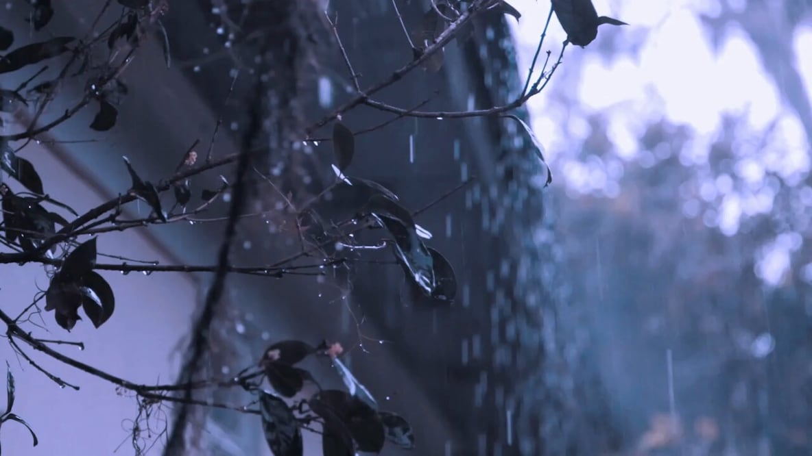 Lluvias y heladas son frecuentes en una zona del estado de Puebla | EsImagen para El Universal Puebla