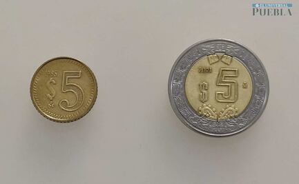 Cuánto valen hoy los 5 pesos de 1985, la mini moneda que se comió la hiperinflación