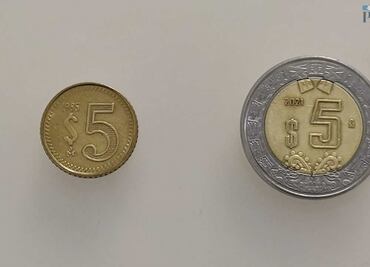 Cuánto valen hoy los 5 pesos de 1985, la mini moneda que se comió la hiperinflación