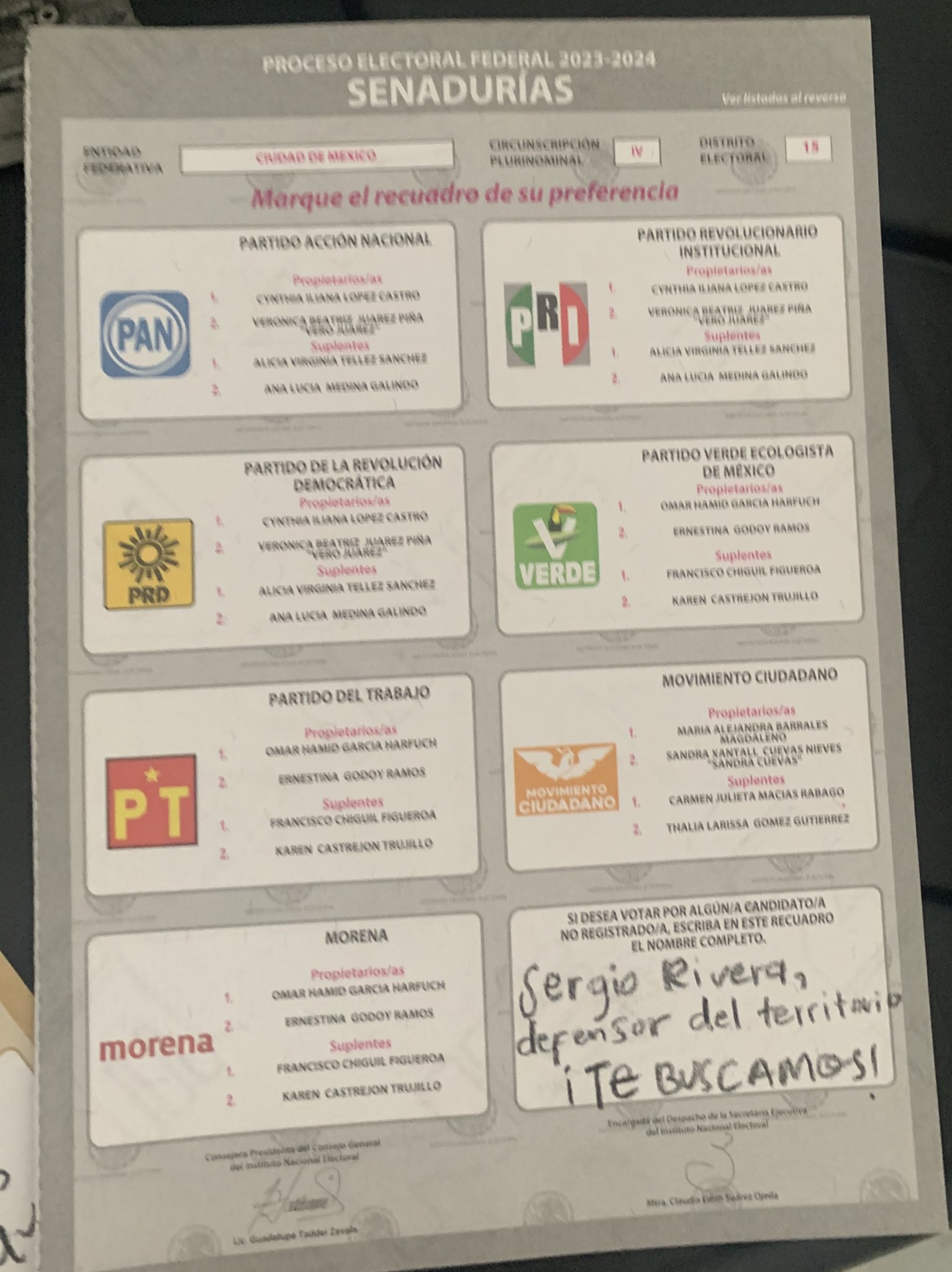 Las elecciones del 2024 fueron el pretexto perfecto para expresarse libremente| Foto: Canvas/ Redes Sociales
