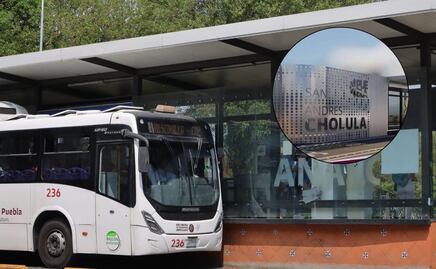 Línea 4 de la RUTA concluirá su construcción en septiembre