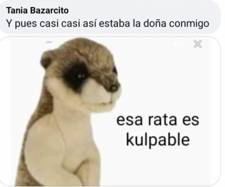 Viral: con memes, neni cuenta su pelea en el metrobús y cómo se salvó 