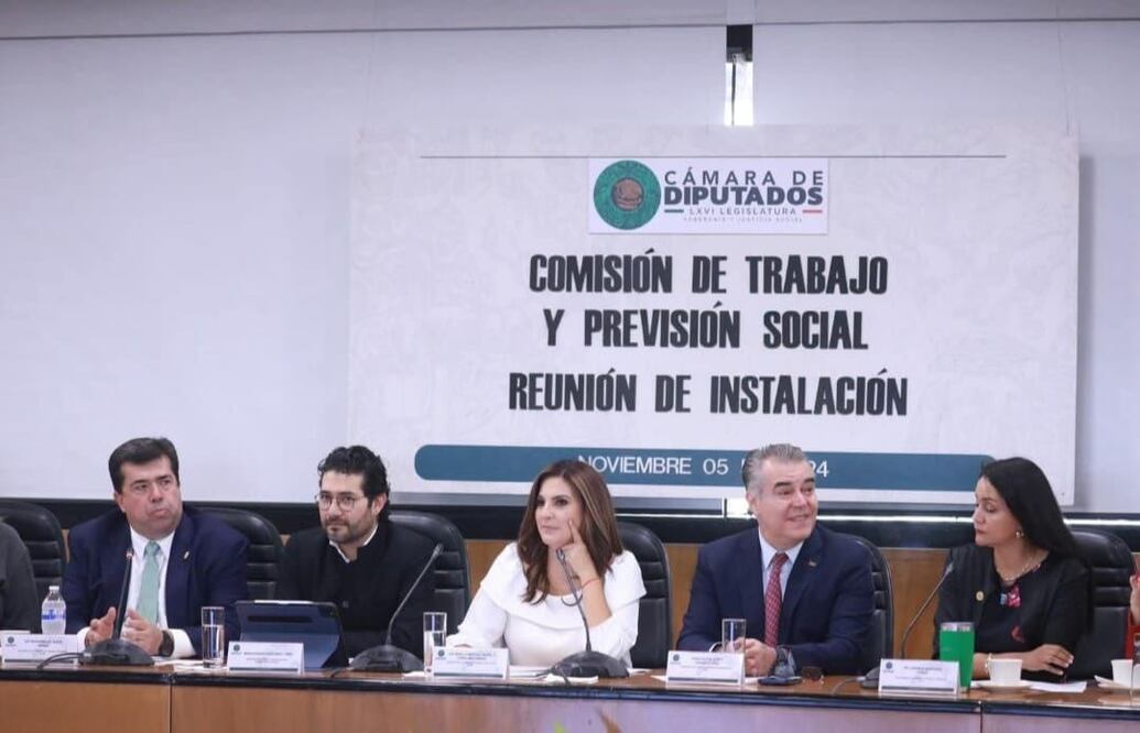 Queda instalada la Comisión de Trabajo en la Cámara de Diputados / Foto: Especial