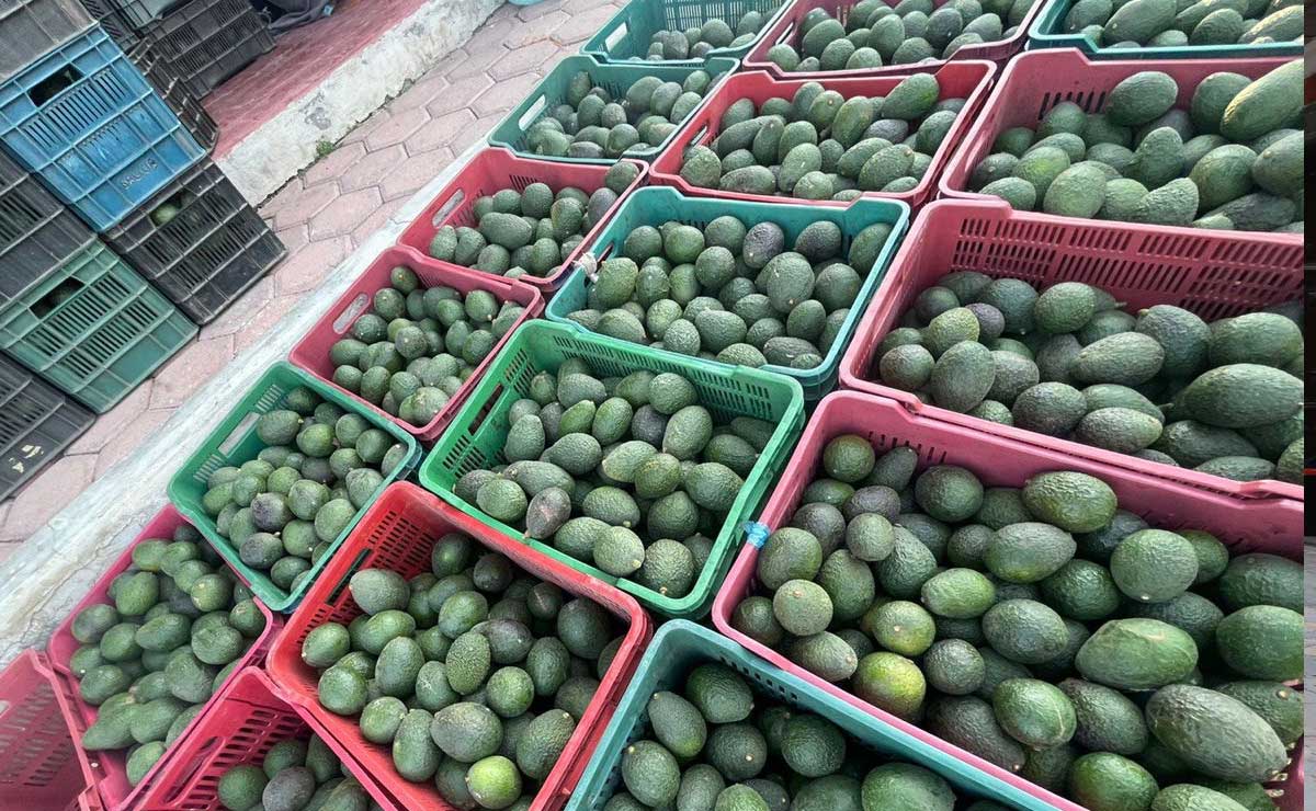 Súper Bowl 2022. El aguacate de  Puebla se usará en el guacamole gringo