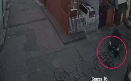 Automovilista embiste a lomito de forma intencional en Caleras