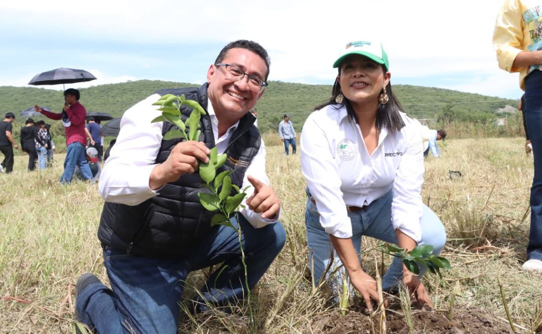 Se plantaron más de dos mil especies, como: guaje, mezquite, agave mezcalero, limón, naranja, guanábana, chicozapote y mamey | Foto: Congreso del Estado