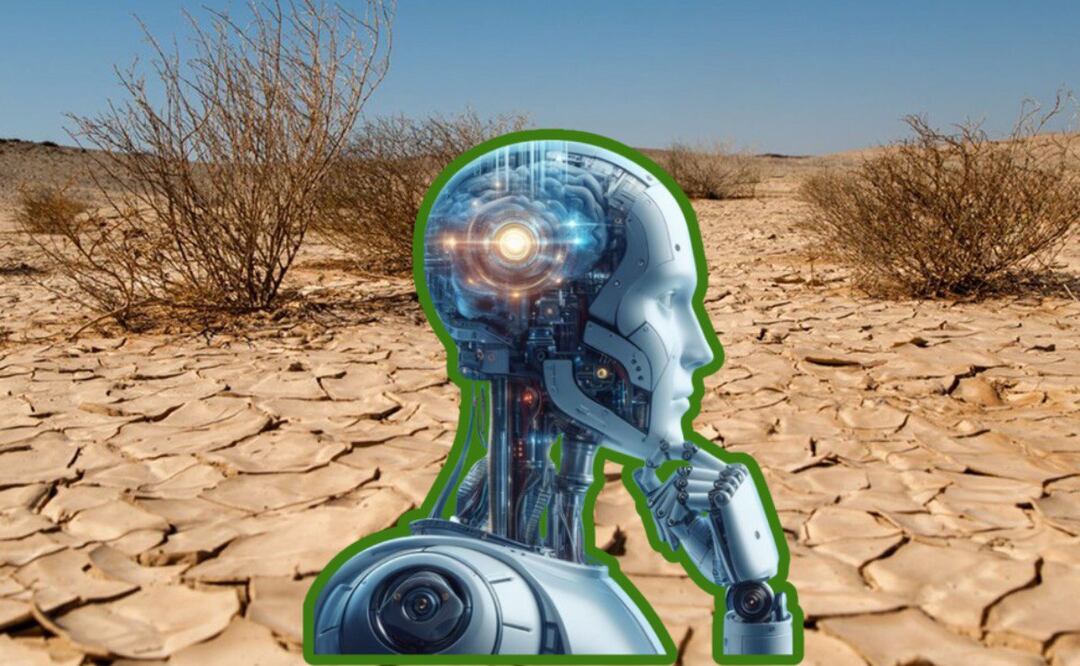 La falta de agua es un grave problema en México y el mundo I Foto: Especial