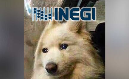 Memes del INEGI y las clases sociales