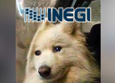 Memes del INEGI y las clases sociales