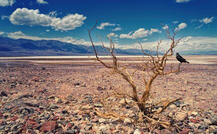 Día cero: ¿Qué tan cerca está Puebla de quedarse sin agua?