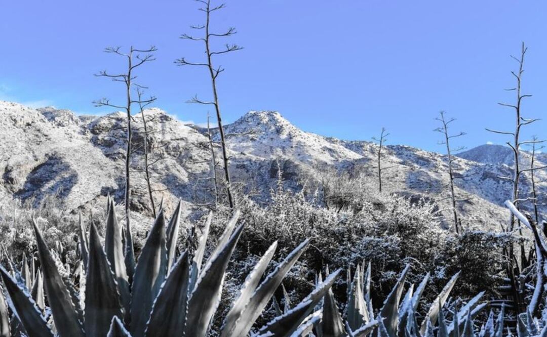 37 municipios de Puebla son los más vulnerables a la temporada de Frentes Fríos / Foto: Freepik