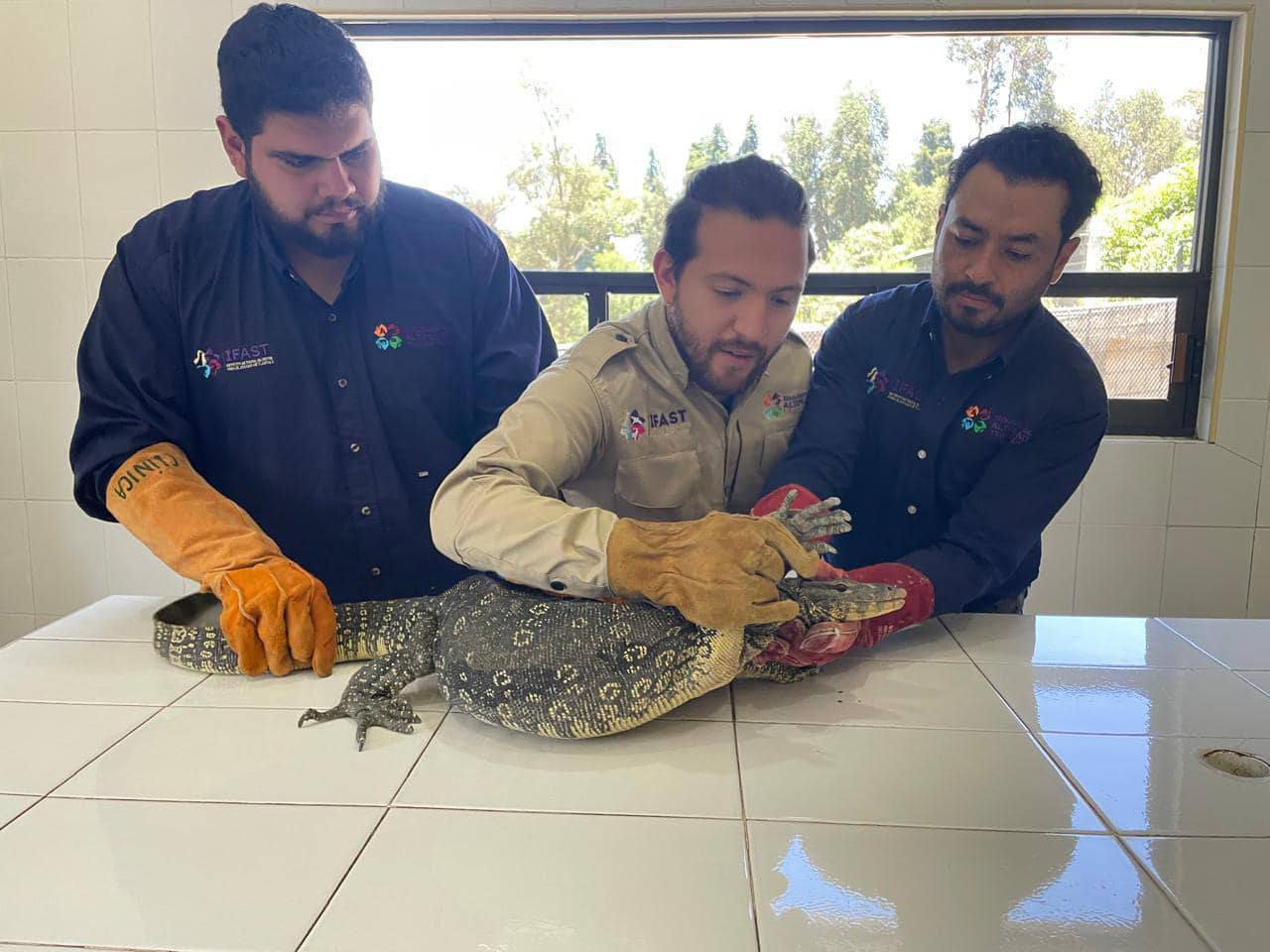 Foto: Facebook Instituto de Fauna Silvestre de Tlaxcala