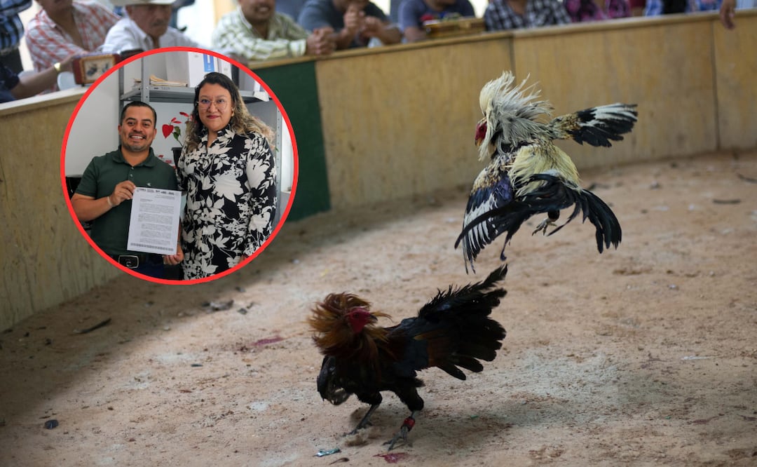 Bienestar Animal y Zapotitlán de Méndez cancelan eventos por maltrato animal | Foto: EsImagen / Gobierno del Estado