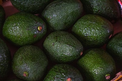 ¿Cuántos tipos de aguacate existen?