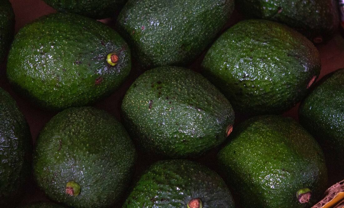 ¿Cuántos tipos de aguacate existen?