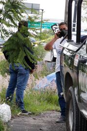 Localizan cadáver en el Periférico Ecológico