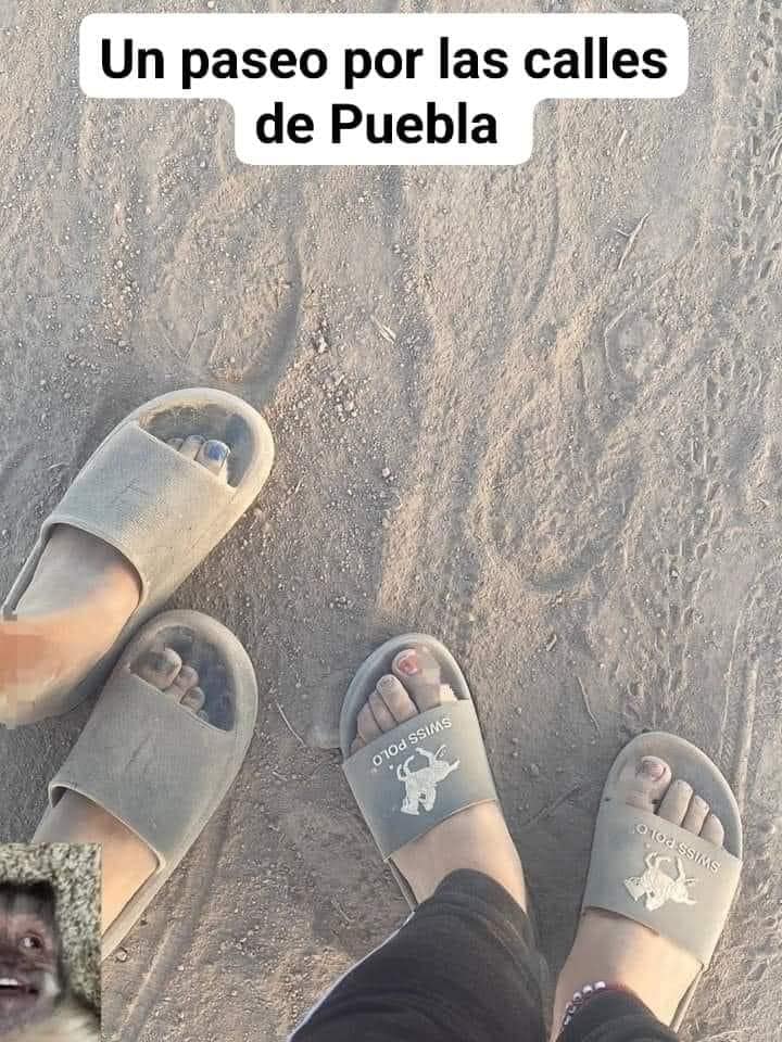 Foto: Redes sociales