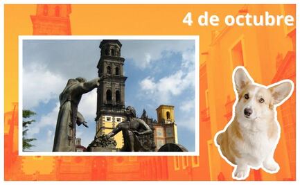 San Francisco de Asís: ¿Por qué se dice que es el Santo Patrono de los animales?