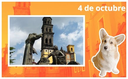 San Francisco de Asís: ¿Por qué se dice que es el Santo Patrono de los animales?