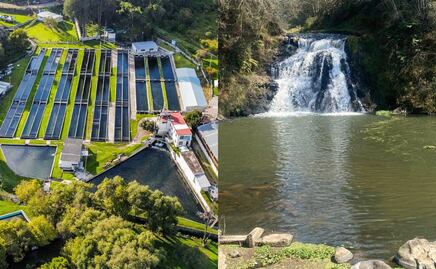 Atlixco o Huauchinango ¿Qué Pueblo Mágico tiene el mejor criadero de truchas?