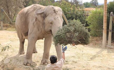 5 lugares en Puebla ideales para ir con niños