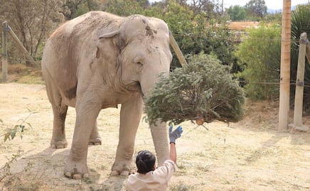 5 lugares en Puebla ideales para ir con niños