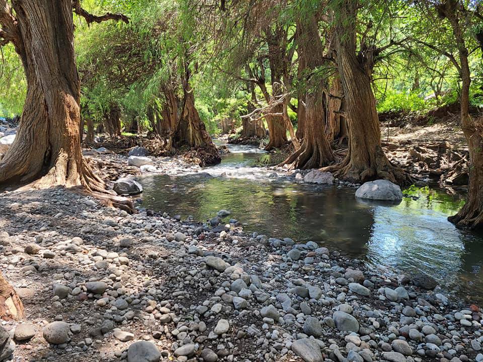 El río Ahuehueyo se ubica en el municipio Tilapa y es ideal para darte un chapuzón | Foto: La Magia de Cuexpala