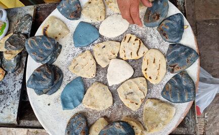 FESTIVAL DEL TLACOYO