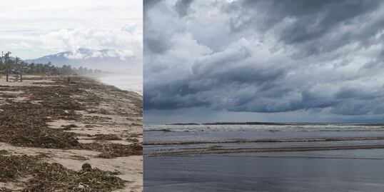 ¿Cuántos ciclones, huracanes y tormentas tropicales se esperan en México en 2024?
