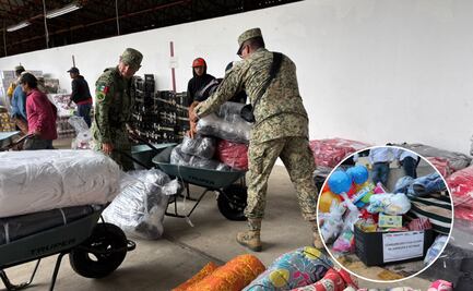 Más de 108 mil 200 apoyos entregados a damnificados: SEDIF