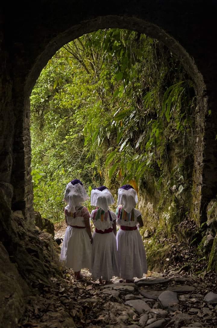 En Cuetzalan verás estos paisajes si recorres su sendero/FOTO PORTADA: Facebook Cuetzalan Mountain Travel