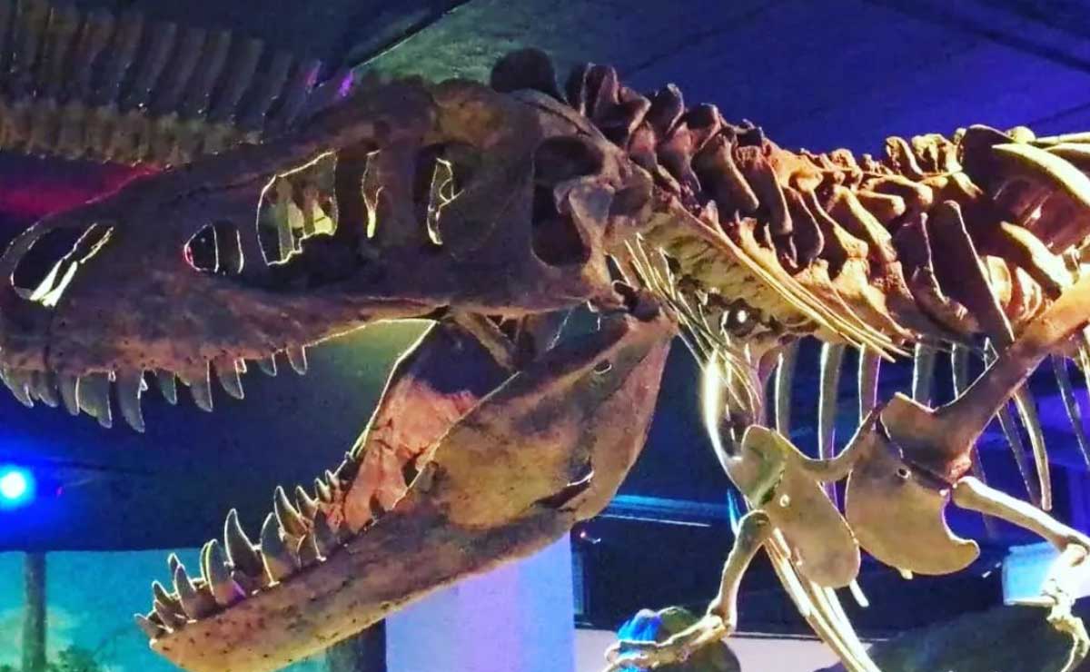 5 lugares para ver dinosaurios en Puebla