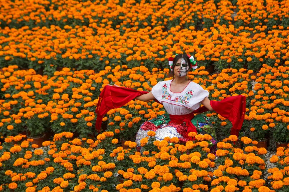 Del lunes 9 de octubre y hasta el domingo 5 de noviembre el municipio de Atlixco albergará la Ruta de las Mil Flores | Agencia Es Imagen para El Universal Puebla