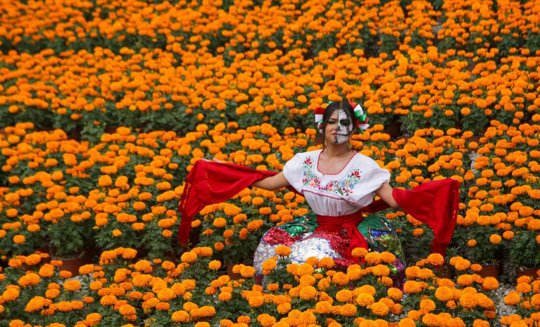 Del lunes 9 de octubre y hasta el domingo 5 de noviembre el municipio de Atlixco albergará la Ruta de las Mil Flores | Agencia Es Imagen para El Universal Puebla