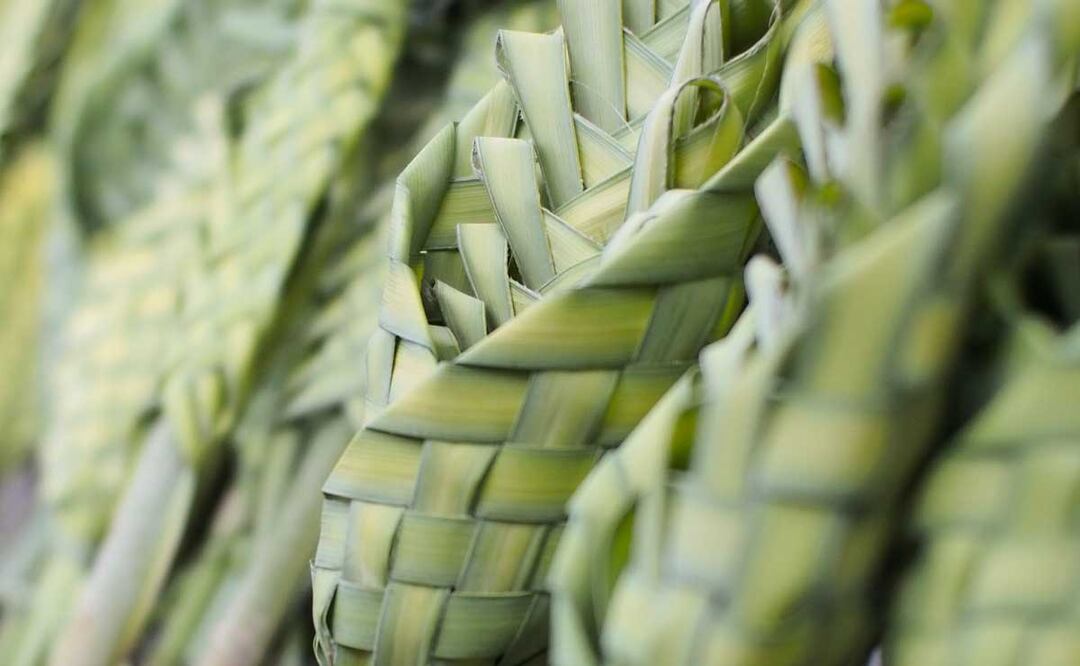 En esta región de la mixteca son especialistas en las palmas para las celebraciones de Semana Santa | FOTO: AGENCIA ES IMAGEN PARA EL UNIVERSAL PUEBLA