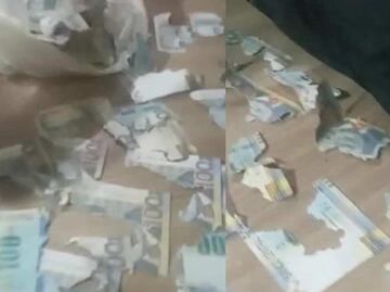 Viral: rata destroza más de 15 mil pesos en ahorros