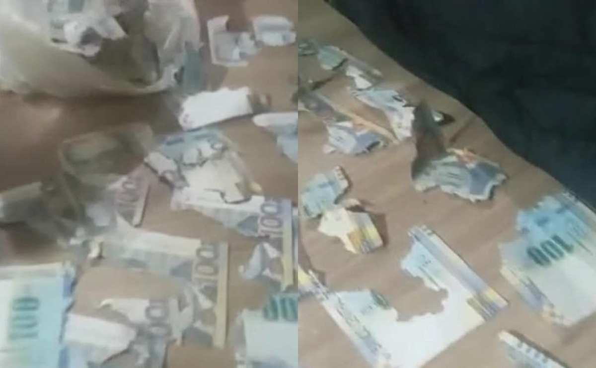 Viral: rata destroza más de 15 mil pesos en ahorros