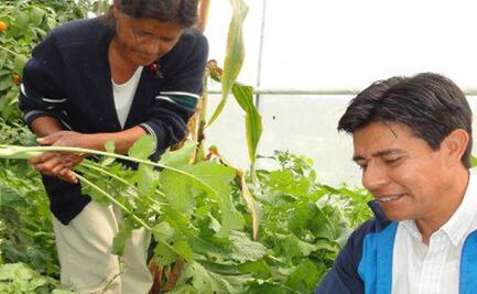 Estudio de la BUAP revela que el amaranto aporta más proteína que el maíz, trigo y arroz