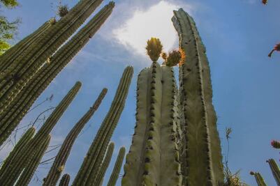 En este desierto de Puebla puedes andar en bicicleta