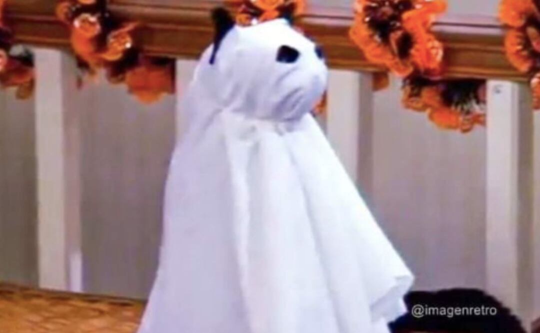 Memes y teorías dejó el sismo que sacudió a Puebla este 6 de octubre | Foto: Redes Sociales