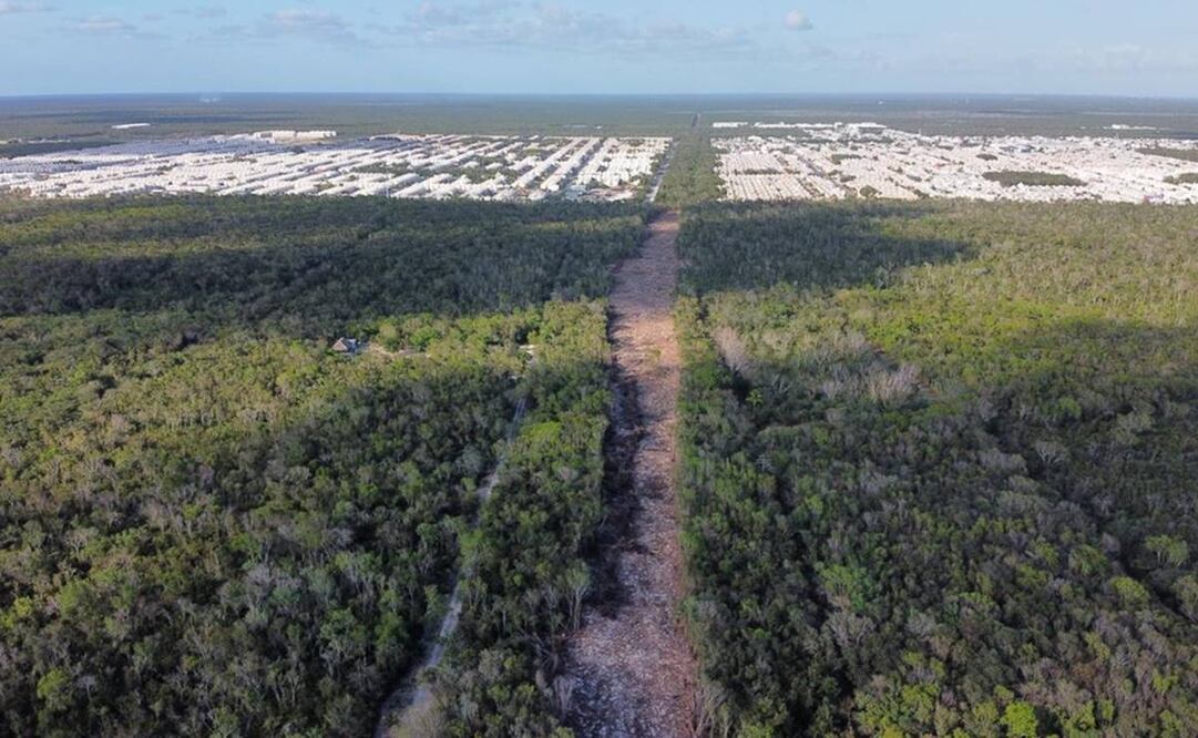 Foto de dron tomada la semana pasada cuando en esa zona todavía no iniciaban los trabajos por el Tren Maya. Foto: Diego Prado/EL UNIVERSAL