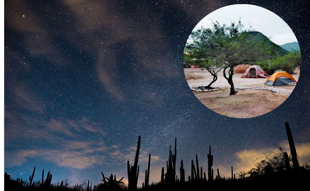 Cómo acampar en la Reserva de la Biósfera Tehuacán-Cuicatlán