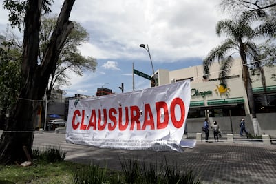 Ahora clausuran tala clandestina de árboles en la zona del CENHCH 