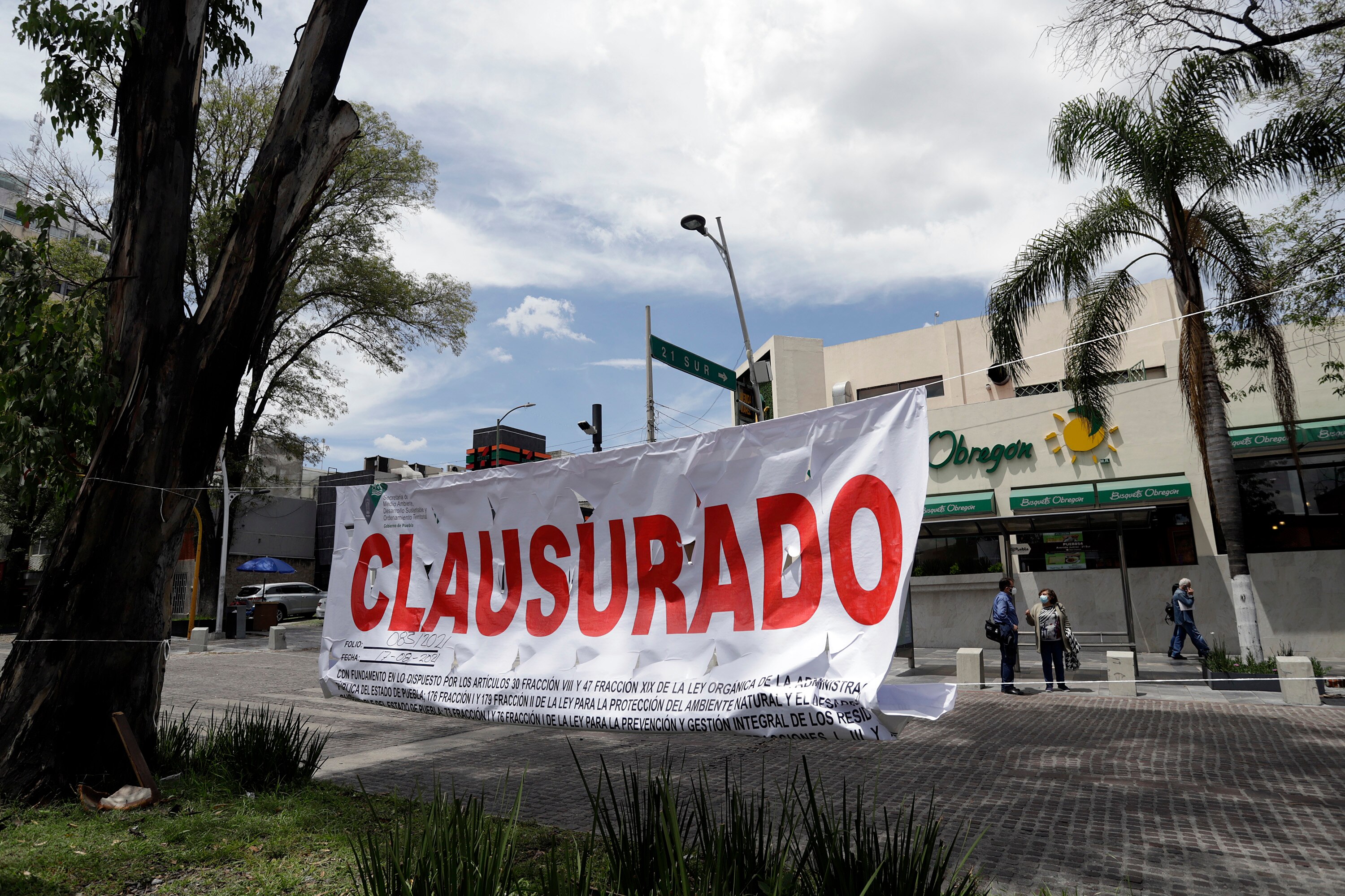 Ahora clausuran tala clandestina de árboles en la zona del CENHCH