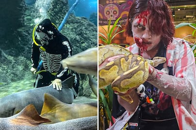 Casa del Terror en Puebla: adéntrate en el Misterio del Abismo del Acuario Michin