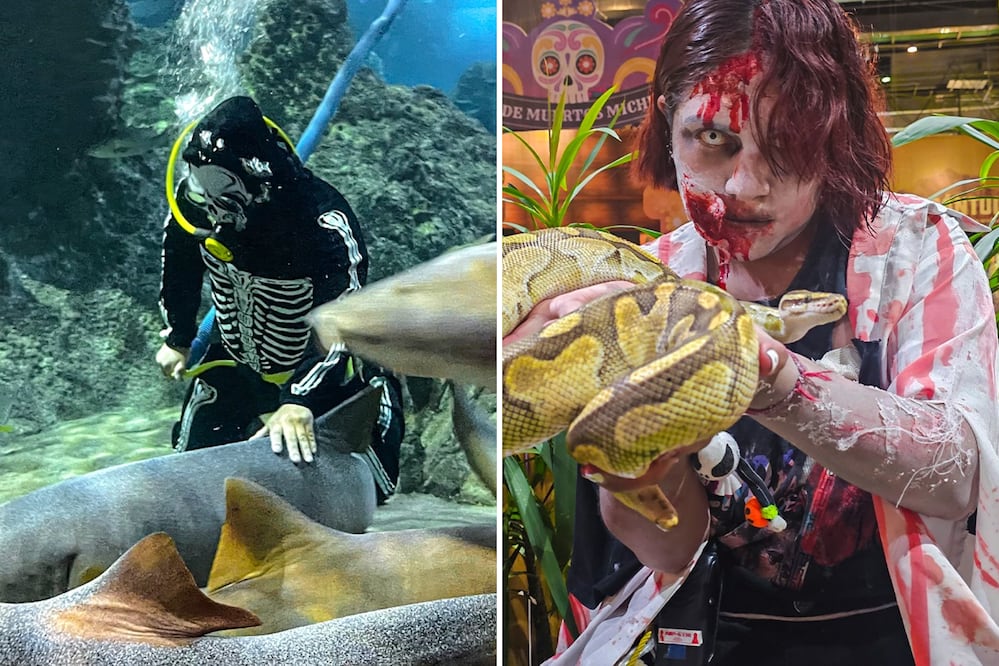 El Acuario Michin se convierte en la casa del terror más escalofriante de Puebla | Foto: Acuario Michin Puebla