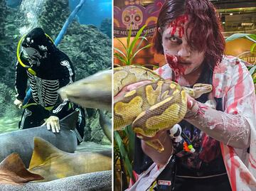 Casa del Terror en Puebla: adéntrate en el Misterio del Abismo del Acuario Michin