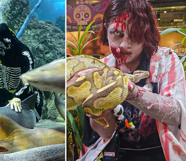 Casa del Terror en Puebla: adéntrate en el Misterio del Abismo del Acuario Michin