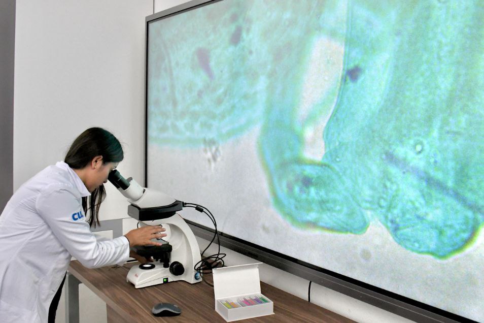 En agosto, CU2 cumple un año y sigue creciendo para aumentar la matrícula | Foto: EsImagen